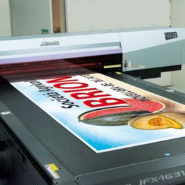 STAMPA DIGITALE GRANDE FORMATO - EFFEMME GRAFICA SRL